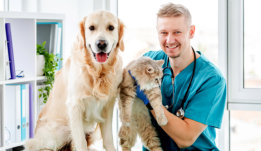 medical worker with his pets